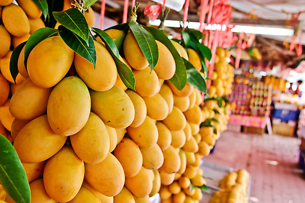 포토 JPG 해외이미지 잡화 아시아 음식 여행 태국 건강 요리 동양인 사람없음 초록색 컬러풀 노란색 세일 상점 흰색 신선 시장 닫기 달콤 맛 다발 먹기 유기농 복숭아 자두 고립 매각 살구 영양소 이국적 해외202004 해외포토 웰빙 나라 컬러 컨셉 과일 모션 인종 파일형식 이미지허브