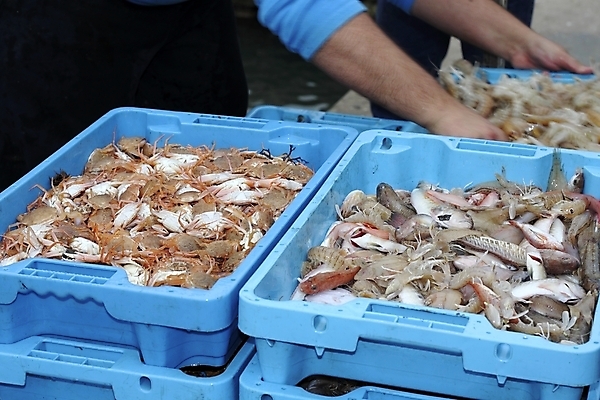 포토 JPG 해외이미지 직업 남자 산업 선 음식 바다 여행 비즈니스 낚시 조개 항해 관리 어류 어업 사람 사람없음 야외 물 파란색 상자 항구 장비 잡기 업무 작업 그물 보트 자르기 어부 갑판 해산물 활 함선 상업 낚시꾼 손질 포트 망사 해외202004 해외포토 자연요소 컬러 배_교통 교통시설 모션 레저 어패류 수중동물 직물 파일형식 이미지허브