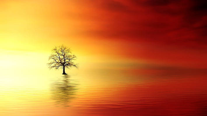 포토 JPG 해외이미지 구름 실루엣 호수 모래 백그라운드 오렌지 자연 하늘 추상 파노라마 어류 사람 풍경 취미 사람없음 야외 물 여름 강 태양 노란색 일출 황혼 일몰 캠핑 탐험 경계선 보트 저녁 백조 카누 장면 지역 스카이라인 해외202004 해외포토 자연요소 계절 선 컬러 무늬 배_교통 과일 조류 레저 촬영기법 노을 수중동물 수상스포츠 야간 경계 생태계 파일형식 이미지허브