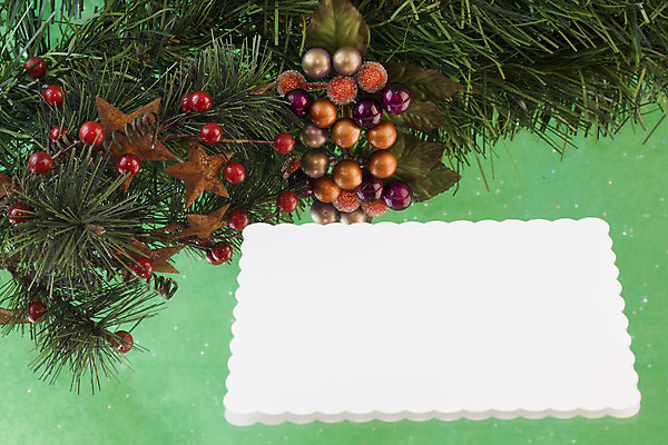 포토 JPG 해외이미지 열매 별 잎 크리스마스 휴가 사람없음 빨간색 초록색 반사 우주 공백 인사 신용카드 카피스페이스 해외202004 해외포토 자연요소 식물 기념일 컬러 금융 예절 파일형식 이미지허브