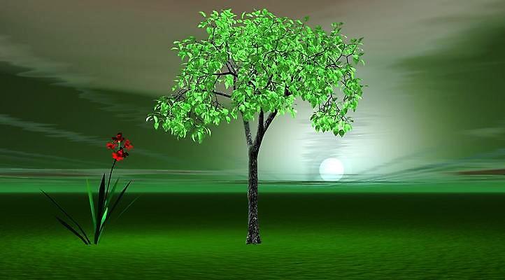 포토 JPG 해외이미지 나무 계절 꽃 선 백그라운드 일러스트 풍경 사람없음 빨간색 초록색 컬러풀 태양 노란색 3D 정원 일몰 가을 흰색 일요일 생태학 수평선 해외202004 해외포토 자연요소 식물 교육 컬러 노을 디지털합성 요일 파일형식 이미지허브