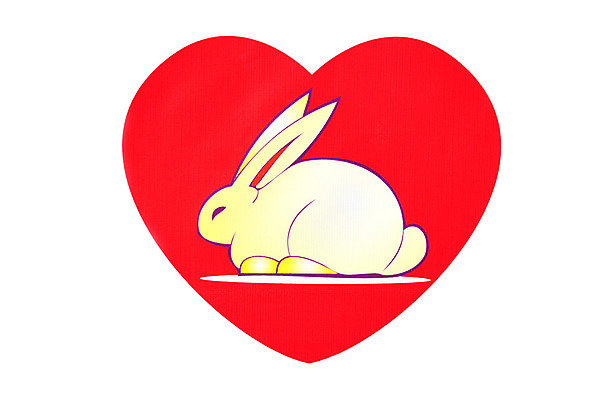 포토 JPG 해외이미지 동물 디자인 행복 야생동물 어린이 결혼 백그라운드 밭 데이트 캘리그라피 텍스트 가족 자연 벽지 휴가 발렌타인데이 동물원 사랑 소년 사람없음 장식 빨간색 단어 장난감 검은색 우정 하트 축하 아기 토끼 인사 최고 신용카드 생일 만화 2월 해외202004 해외포토 모양 문자 기념일 남자 감정 컬러 컨셉 농업 포유류 관계 데이이벤트 사람 이벤트 금융 친구 반려동물 예절 날짜 생태계 파일형식 이미지허브