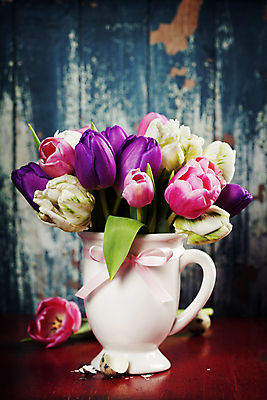 포토 JPG 해외이미지 식물 계절 기념일 꽃 꽃무늬 자연 부활절 사람없음 목재 장식 파란색 컬러풀 정원 꽃병 보라색 봄 튤립 성장 벚꽃 도구 시골 인사 신선 신용카드 캔 물주기 네덜란드 원예 옛날 몽환 카피스페이스 세련 해외202004 해외포토 나무 유럽 컬러 컨셉 무늬 재료 모션 이벤트 취미 금융 공백 예절 생태계 파일형식 이미지허브