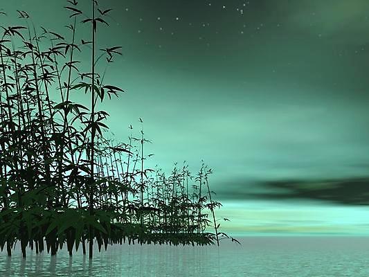 포토 JPG 해외이미지 식물 꽃잎 아시아 호수 선 백그라운드 잎 꽃무늬 일러스트 요가 자연 하늘 휴식 건강 동양인 사람없음 그래픽 초록색 물 여름 3D 평화 디지털 정원 일본 스파 화목 고요 벚꽃 연못 대나무 명상 만들기 이국적 해외202004 해외포토 자연요소 나무 웰빙 계절 꽃 나라 컬러 컨셉 무늬 모션 인종 디지털합성 생태계 파일형식 이미지허브