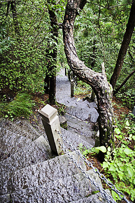 포토 JPG 해외이미지 나무 식물 공원 길 선 지도 건축양식 가이드 사다리 자연 휴식 산 사람없음 건물 평화 계단 정원 화목 침묵 산책 수확 골동품 바위 사찰 보행로 숲 오솔길 방향 언덕 그림 통로 오르기 동쪽 단계 내추럴 개발 방법 옛날 해외202004 해외포토 직업 건축물 공공시설 건축 컨셉 농업 종교건축 모션 소리 돌_바위 도구 생태계 파일형식 이미지허브