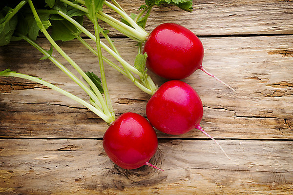 포토 JPG 해외이미지 식물 음식 백그라운드 잎 채소 재료 자연 탁자 건강 사람없음 목재 빨간색 초록색 농작물 성장 신선 작음 다발 먹기 유기농 날것 뿌리 흙더미 숙성 채식주의자 총각무 해외202004 해외포토 나무 웰빙 컬러 가구 농업 모션 흙 크기 무 생태계 채식 파일형식 더미 이미지허브