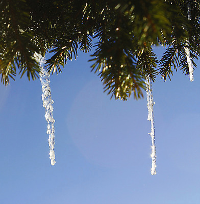 포토 JPG 해외이미지 계절 크리스마스 겨울 자연 하늘 휴가 휴식 산 그림자 풍경 사람없음 야외 파란색 햇빛 평화 맑음 얼음 추위 흰색 신선 숲 12월 11월 가루 스위스 언덕 서리 암초 마법 1월 웅장함 눈내림 겨울풍경 해외202004 해외포토 자연요소 기념일 유럽 컬러 컨셉 날씨 눈_날씨 태양 날짜 생태계 파일형식 이미지허브
