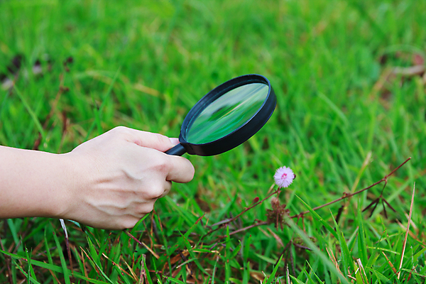 포토 JPG 해외이미지 식물 손 교육 꽃 꽃무늬 장난 자연 유리 놀이 돋보기 사람 사람없음 야외 초록색 자유 탐험 잡기 닫기 확대 검색 탐사 발견 내추럴 해외202004 해외포토 컬러 컨셉 무늬 모션 재질 신체부위 생태계 파일형식 이미지허브