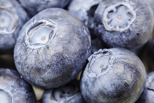 포토 JPG 해외이미지 스튜디오촬영 음식 백그라운드 패턴 곡선 다이어트 과일 재료 디저트 건강 사람없음 세로 여름 파란색 컬러풀 신선 원형 양념 닫기 달콤 작음 먹기 상쾌 유기농 블루베리 날것 베리 흙더미 건강식 숙성 채식주의자 해외202004 해외포토 도형 웰빙 계절 감정 선 컬러 무늬 모션 실내 흙 맛 크기 채식 파일형식 더미 이미지허브