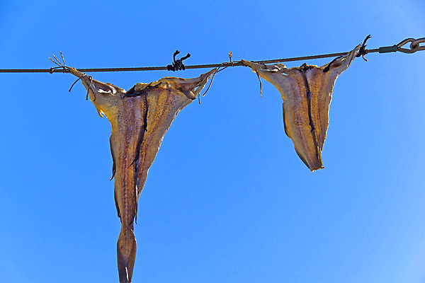 포토 JPG 해외이미지 선 음식 하늘색 백그라운드 하늘 낚시 휴가 건조 매달리기 덴마크 어류 사람없음 맑음 식사 저녁식사 먹기 어장 점심식사 스칸디나비아 식품점 해외202004 해외포토 모션 레저 날씨 북유럽 파란색 상점 수중동물 파일형식 이미지허브
