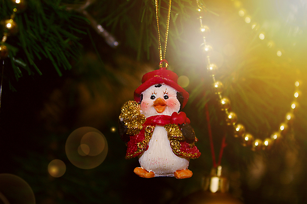 포토 JPG 해외이미지 계절 별 백그라운드 크리스마스 겨울 와인잔 목걸이 공 유리 탁자 휴가 조명 프레임 선물 미술 사람없음 장식 초록색 파란색 빛 우주 종 축하 황금 구슬 여의주 해외202004 해외포토 자연요소 기념일 컬러 가구 컨셉 술잔 장신구 재질 문화예술 파일형식 이미지허브