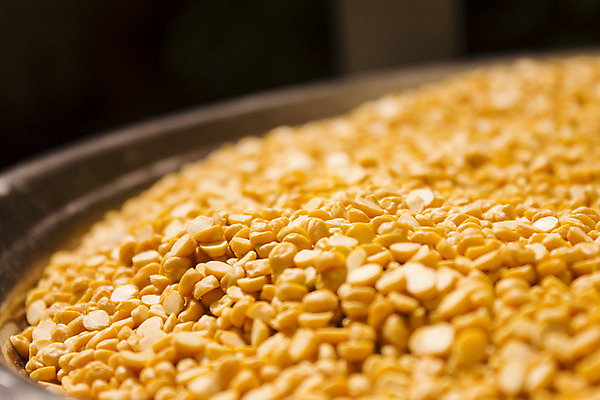 포토 JPG 해외이미지 식물 음식 패턴 농업 재료 자연 호박 해바라기 건조 세포 요리 씨앗 사람없음 농작물 노란색 상품 낟알 시리얼 밀 수집 유기농 질감 완두콩 알맹이 날것 보리 땅콩 모음 흙더미 내추럴 수수 채식주의자 호밀 많음 귀리 해외202004 해외포토 웰빙 꽃 산업 컬러 컨셉 무늬 채소 콩 곡류 한글 흙 견과류 생태계 채식 파일형식 더미 이미지허브