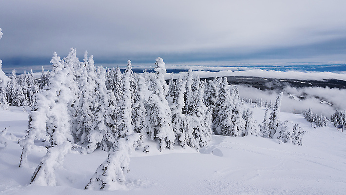 포토 JPG 해외이미지 나무 구름 계절 길 스포츠 백그라운드 겨울 의자 자국 자연 하늘 휴가 스키 산 파노라마 풍경 경사 사람없음 야외 파란색 빛 태양 계곡 맑음 얼음 침묵 추위 흰색 신선 소나무 정상 언덕 휴양지 서리 리프트 전나무 선로 절정 눈내림 해외202004 해외포토 자연요소 식물 컬러 가구 날씨 겨울스포츠 눈_날씨 촬영기법 소리 장소 생태계 파일형식 이미지허브