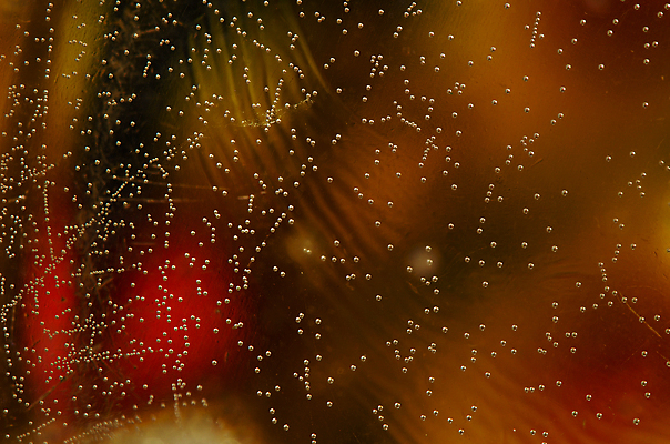 포토 JPG 해외이미지 디자인 백그라운드 컨셉 패턴 오렌지 일러스트 추상 휴가 새로움 미술 사람없음 그래픽 빨간색 초록색 물 컬러풀 노란색 신선 원형 팔레트 그늘 시원함 연도 질감 팩 블러 여의주 해외202004 해외포토 자연요소 도형 컬러 무늬 과일 문화예술 화장품 파일형식 이미지허브