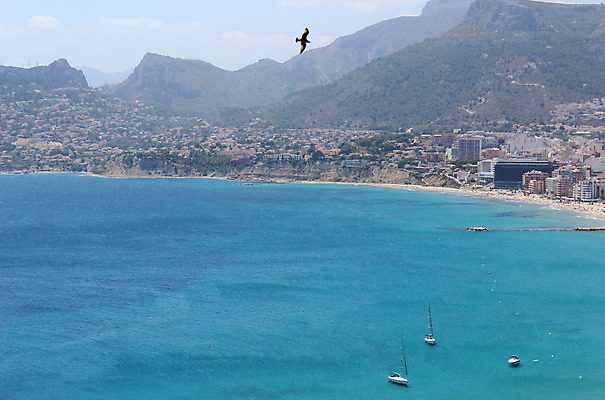 포토 JPG 해외이미지 유럽 모래 바다 여행 자연 휴가 산 안테나 파노라마 풍경 사람없음 물 여름 파란색 햇빛 항구 맑음 도시 만 보트 스페인 지중해 휴양지 소금 타운 스카이라인 해외202004 해외포토 자연요소 계절 나라 컬러 배_교통 통신 교통시설 날씨 촬영기법 태양 장소 생태계 파일형식 이미지허브