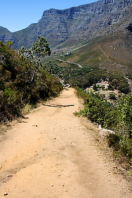 포토 JPG 해외이미지 나무 식물 도로 길 모래 여행 곡선 자국 아프리카 자연 하늘 산 풍경 사람없음 야외 초록색 파란색 갈색 평화 환경 산책 하이킹 바위 시골 거친 숲 오솔길 장면 내추럴 남아프리카 방법 선로 케이프타운 해외202004 해외포토 나라 선 컬러 컨셉 교통시설 레저 휴식 돌_바위 생태계 남아프리카공화국 파일형식 이미지허브