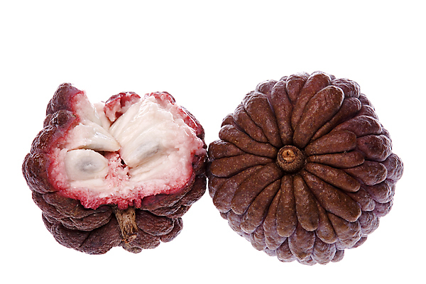 포토 JPG 해외이미지 음식 농업 과일 디저트 사람없음 사막 신선 달콤 맛 사과 먹기 고립 이국적 커스터드 해외202004 해외포토 산업 컨셉 모션 크림 파일형식 이미지허브