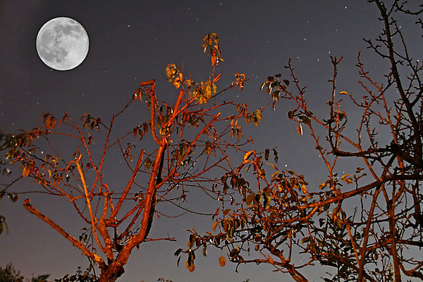 포토 JPG 해외이미지 디자인 물결 바다 과학 백그라운드 자연 하늘 추상 미술 사람없음 물 태양 반사 우주 검은색 황혼 행성 회색 달 흰색 원형 야간 달빛 가득함 시스템 천문학 잔물결 수평선 해외202004 해외포토 자연요소 도형 교육 컬러 무늬 문화예술 일몰 생태계 파일형식 이미지허브