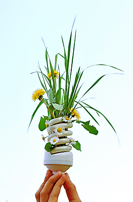 포토 JPG 해외이미지 모양 식물 전구 자연 유리 사람없음 초록색 빛 글로벌 환경 검은색 힘 재활용 에너지 성장 흰색 램프 절약 에코 생태계 생태학 해외202004 해외포토 교육 컬러 컨셉 재질 조명 친환경 파일형식 이미지허브