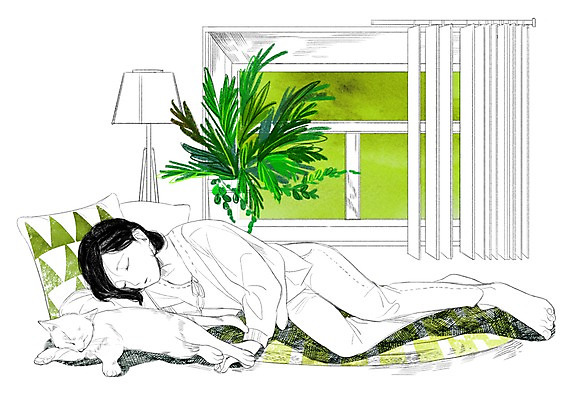 PSD 식물 한마리 여자 쿠션 일러스트 창문 휴식 함께함 한명 성인 반려동물 눕기 고양이 화목 다정 스탠드 잠 블라인드 소통 국내일러스트 동물 1 컨셉 포유류 모션 조명 사람 커튼 파일형식