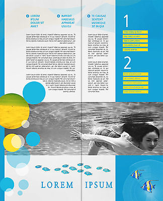 PSD 템플릿 편집 표지디자인 북디자인 출판디자인 여자 내지 리플렛 2단접지 북커버 수영장 어류 한명 팜플렛 20대 성인 앞모습 여름휴가 바캉스 수영 한국인 이미지템플릿 1 뷰포인트 휴가 사람 동양인 청년 수중동물 수상스포츠 파일형식 여름_계절