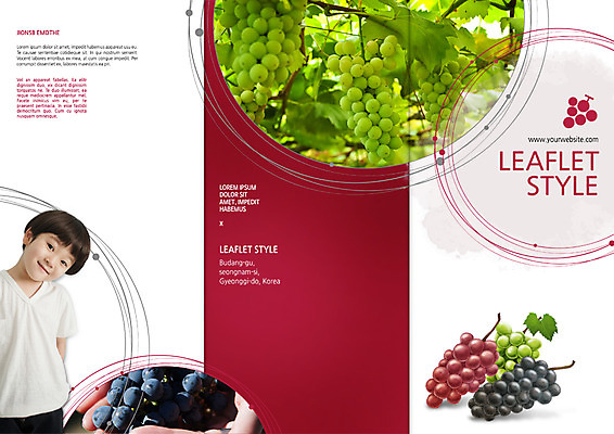 PSD 템플릿 편집 표지디자인 북디자인 손 출판디자인 표지 남자 어린이 리플렛 북커버 3단접지 포도 동양인 팜플렛 상반신 두명 신체부위 포도송이 이미지템플릿 과일 사람 인종 파일형식