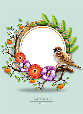 PSD 한마리 계절 꽃 종이 잎 일러스트 자연 나뭇잎 프레임 감 사람없음 가을 나뭇가지 참새 꽃프레임 자연물 프레임일러스트 국내일러스트 나무 식물 1 과일 조류 생태계 파일형식