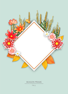 PSD 계절 꽃 종이 낙엽 잎 일러스트 자연 프레임 사람없음 벼 가을 코스모스 보리 꽃프레임 자연물 프레임일러스트 국내일러스트 식물 곡류 생태계 파일형식