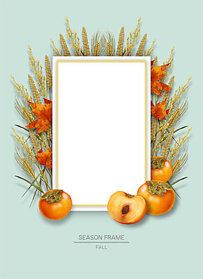 PSD 계절 꽃 종이 낙엽 잎 일러스트 자연 프레임 감 사람없음 벼 가을 보리 꽃프레임 자연물 프레임일러스트 국내일러스트 식물 과일 곡류 생태계 파일형식