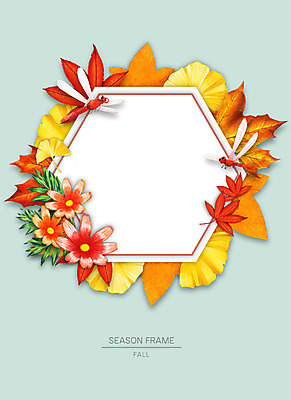 PSD 계절 꽃 종이 낙엽 잎 일러스트 자연 프레임 사람없음 가을 잠자리 코스모스 은행잎 꽃프레임 자연물 프레임일러스트 국내일러스트 식물 곤충 생태계 파일형식