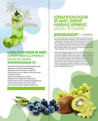 PSD 템플릿 편집 표지디자인 북디자인 출판디자인 내지 음료 리플렛 2단접지 북커버 잔 키위 팜플렛 사람없음 청포도 블루베리 매실 이미지템플릿 식기 과일 포도 파일형식