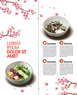 PSD 템플릿 편집 표지디자인 북디자인 출판디자인 내지 리플렛 2단접지 북커버 팜플렛 사람없음 일본 벚꽃 나뭇가지 덮밥 회덮밥 일본음식 이미지템플릿 나무 꽃 아시아 음식 파일형식