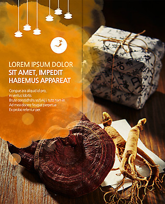 PSD 템플릿 편집 표지디자인 북디자인 출판디자인 내지 리플렛 2단접지 북커버 의학 팜플렛 사람없음 한의학 약재 한약재 인삼 보약 약봉지 영지버섯 이미지템플릿 약 버섯 삼 파일형식