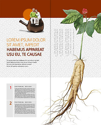 전신 PSD 템플릿 편집 표지디자인 북디자인 출판디자인 여자 남자 내지 리플렛 2단접지 북커버 의학 앉기 팜플렛 성인 두명 앞모습 노부부 한의학 한국인 인삼 60대 약탕기 노인만 성인만 이미지템플릿 부부 노년 뷰포인트 모션 주방용품 사람 동양인 삼 파일형식