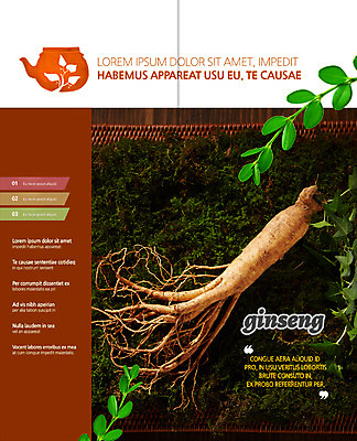 PSD 식물 템플릿 편집 표지디자인 북디자인 출판디자인 내지 리플렛 2단접지 북커버 의학 팜플렛 사람없음 한의학 인삼 약탕기 이미지템플릿 주방용품 삼 파일형식