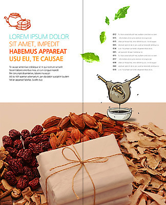 PSD 템플릿 편집 표지디자인 북디자인 출판디자인 내지 리플렛 2단접지 북커버 의학 팜플렛 사람없음 한의학 약재 한약재 한약 약탕기 보약 약봉지 이미지템플릿 주방용품 약 파일형식