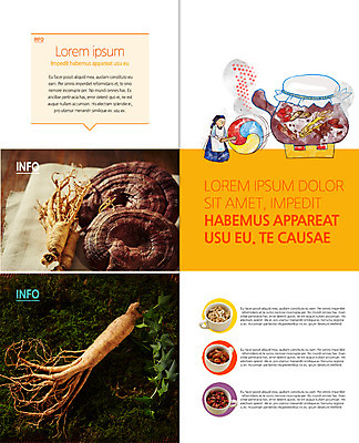 PSD 템플릿 편집 표지디자인 북디자인 출판디자인 여자 내지 리플렛 2단접지 북커버 의학 한명 팜플렛 한의학 인삼 한복 태극선 약탕기 영지버섯 이미지템플릿 1 한국전통 주방용품 사람 버섯 삼 전통의상 전통부채 파일형식