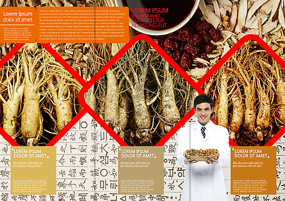 PSD 서양인 외국인 템플릿 편집 표지디자인 북디자인 출판디자인 남자 내지 리플렛 북커버 3단접지 의학 한명 팜플렛 상반신 성인 앞모습 한의학 의사 약재 한약재 인삼 이미지템플릿 1 뷰포인트 사람 인종 약 의료진 삼 파일형식