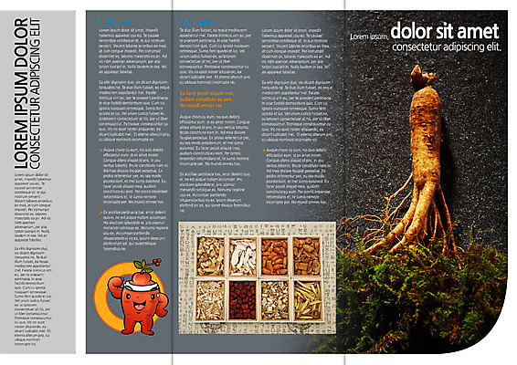 PSD 템플릿 편집 표지디자인 북디자인 출판디자인 내지 리플렛 북커버 3단접지 의학 종류 팜플렛 사람없음 한의학 약재 한약재 인삼 인삼캐릭터 이미지템플릿 캐릭터 약 삼 파일형식