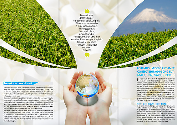 PSD 템플릿 편집 표지디자인 북디자인 손 출판디자인 내지 리플렛 북커버 3단접지 논 한명 사람 팜플렛 신체부위 지구본 환경 벼 유리구슬 이미지템플릿 1 농업 유리 곡류 구슬 파일형식