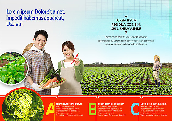 PSD 템플릿 편집 표지디자인 북디자인 부부 출판디자인 여자 남자 내지 음식 리플렛 40대 북커버 팜플렛 성인 세명 농작물 농사 한국인 60대 농부 배추 배추밭 이미지템플릿 직업 커플 노년 중년 밭 농업 채소 사람 동양인 파일형식