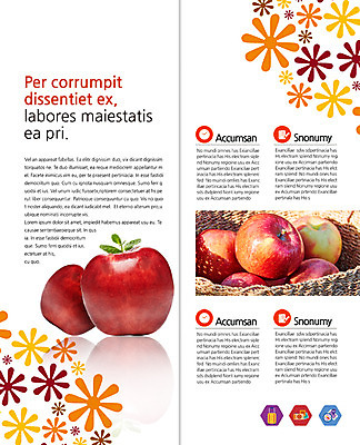 PSD 템플릿 편집 표지디자인 북디자인 출판디자인 내지 리플렛 다이어트 2단접지 북커버 팜플렛 사람없음 뷰티 여러개 사과 이미지템플릿 다수 과일 건강 파일형식