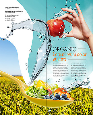 PSD 템플릿 편집 표지디자인 북디자인 손 출판디자인 내지 음식 리플렛 토마토 2단접지 북커버 딸기 논 한명 사람 팜플렛 신체부위 벼 사과 레몬 유기농 청포도 블루베리 튀는물 치커리 이미지템플릿 1 웰빙 농업 채소 과일 포도 곡류 액체표현 스플래쉬 파일형식
