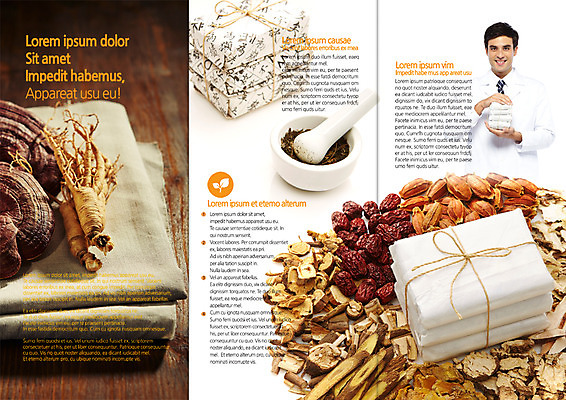 PSD 외국인 템플릿 편집 표지디자인 북디자인 출판디자인 남자 내지 리플렛 북커버 3단접지 의학 한명 팜플렛 성인 한의학 의사 약재 한약재 인삼 막자사발 약봉지 영지버섯 이미지템플릿 1 사람 인종 약 버섯 의료진 삼 사발 파일형식