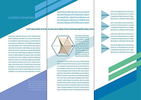 템플릿 편집 표지디자인 북디자인 출판디자인 내지 리플렛 북커버 비즈니스 3단접지 그래프 팜플렛 사람없음 육각형 이미지템플릿 AI파일 도형 파일형식 벡터