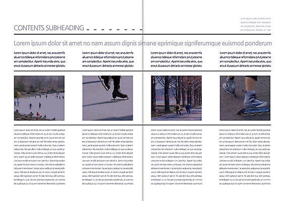 템플릿 편집 표지디자인 북디자인 출판디자인 내지 리플렛 북커버 사람 팜플렛 여러명 운동 스케이팅 롤러블레이드 피겨스케이팅 군중 이미지템플릿 AI파일 다수 겨울스포츠 건강 취미 파일형식 벡터