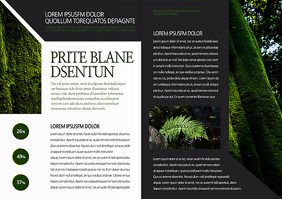 나무 템플릿 편집 표지디자인 북디자인 출판디자인 내지 리플렛 북커버 나뭇잎 이끼 팜플렛 사람없음 환경 숲 이미지템플릿 AI파일 식물 잎 파일형식 벡터