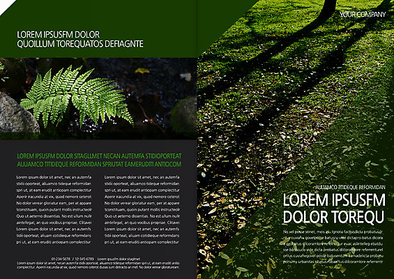 템플릿 편집 표지디자인 북디자인 출판디자인 표지 리플렛 북커버 나뭇잎 그림자 이끼 팜플렛 사람없음 환경 땅 이미지템플릿 AI파일 잎 파일형식 벡터