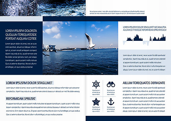 주간 템플릿 편집 표지디자인 북디자인 출판디자인 내지 리플렛 바다 북커버 갈매기 팜플렛 사람없음 야외 환경 이미지템플릿 AI파일 자연요소 조류 파일형식 벡터