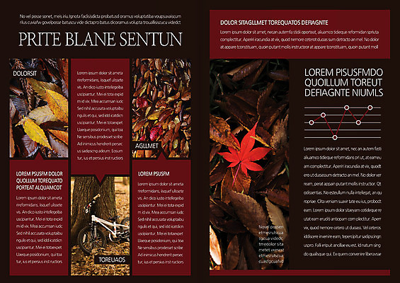 나무 템플릿 편집 표지디자인 북디자인 출판디자인 내지 리플렛 단풍 낙엽 북커버 팜플렛 사람없음 환경 자전거 가을 이미지템플릿 AI파일 식물 계절 잎 바이크 파일형식 벡터